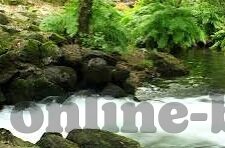 英超足球比分排名-英超风云，最新比分排名背后的故事与格局剖析